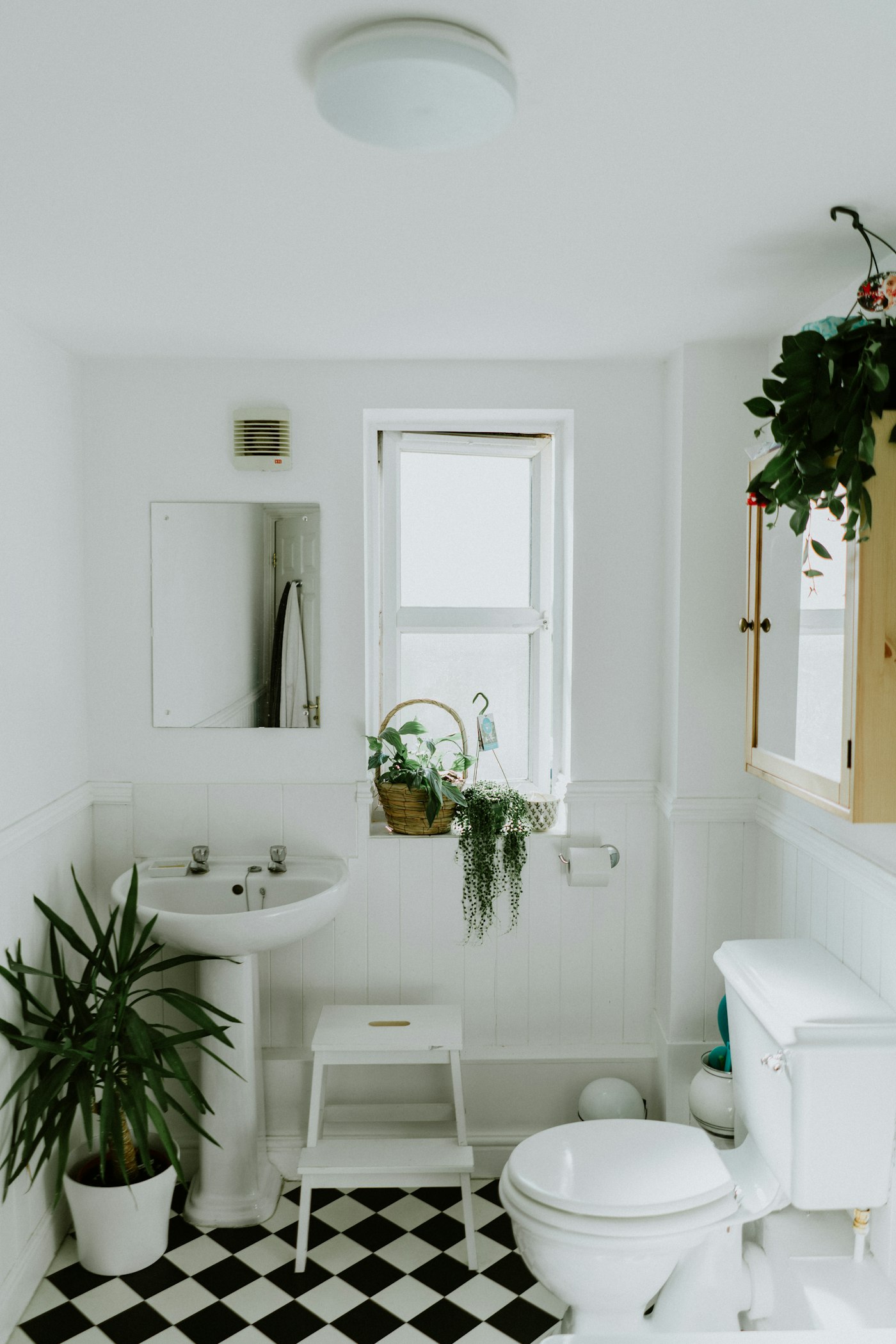 Toilets and bidets